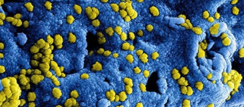 Ontwikkelingen coronavirus