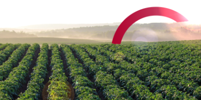 Banden voor zaaien, planten en poten