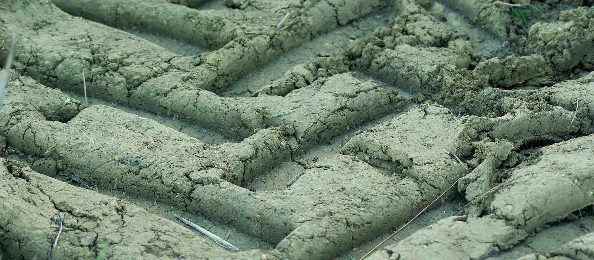 Bodemdruk en -verdichting: zo werkt het